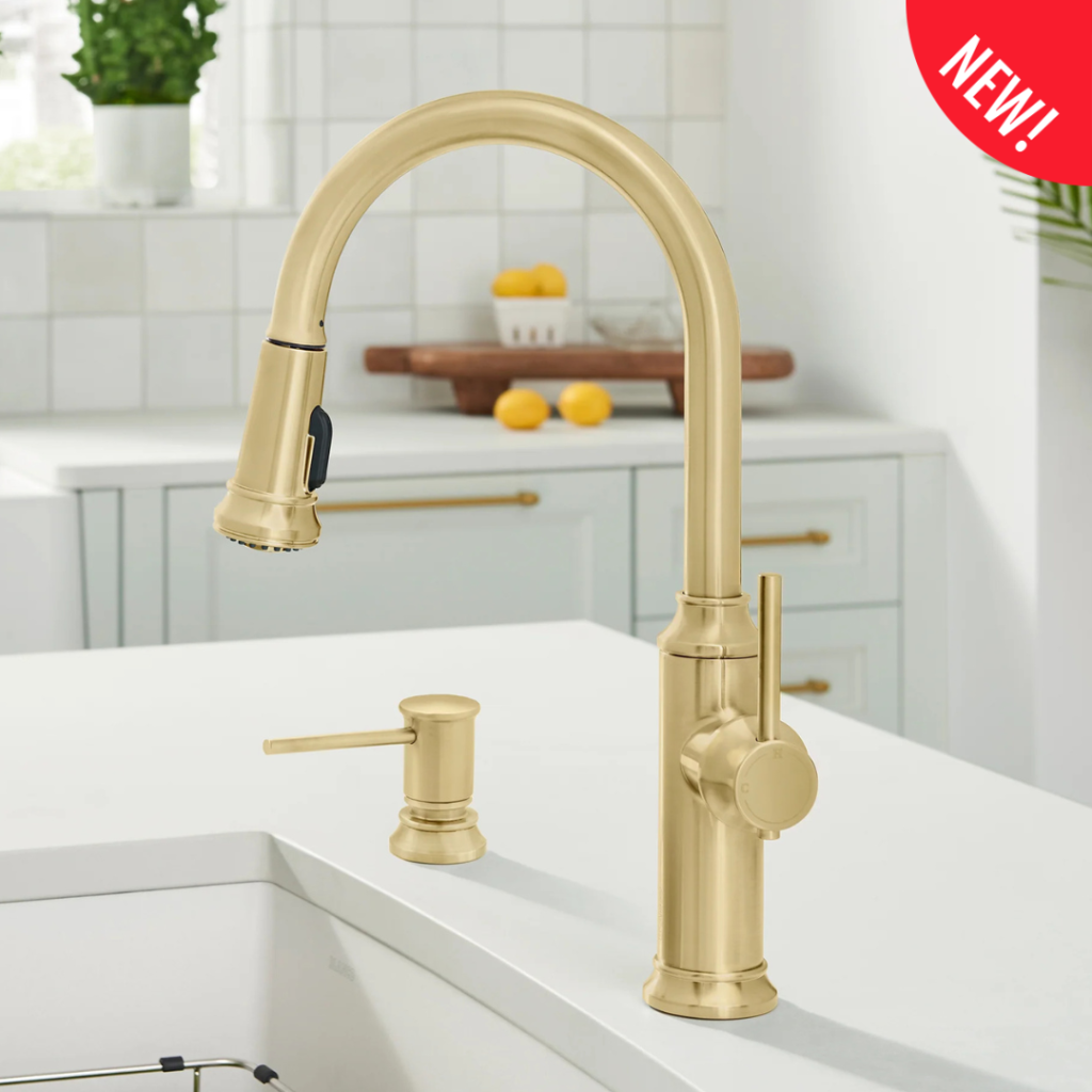Blanco Empressa High Arc Pull-Down Dual-Spray Kitchen Faucet