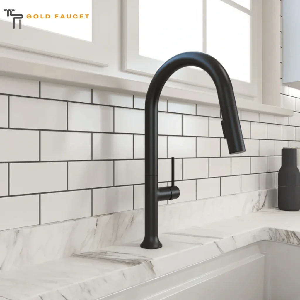 Matte Black Kitchen Faucet