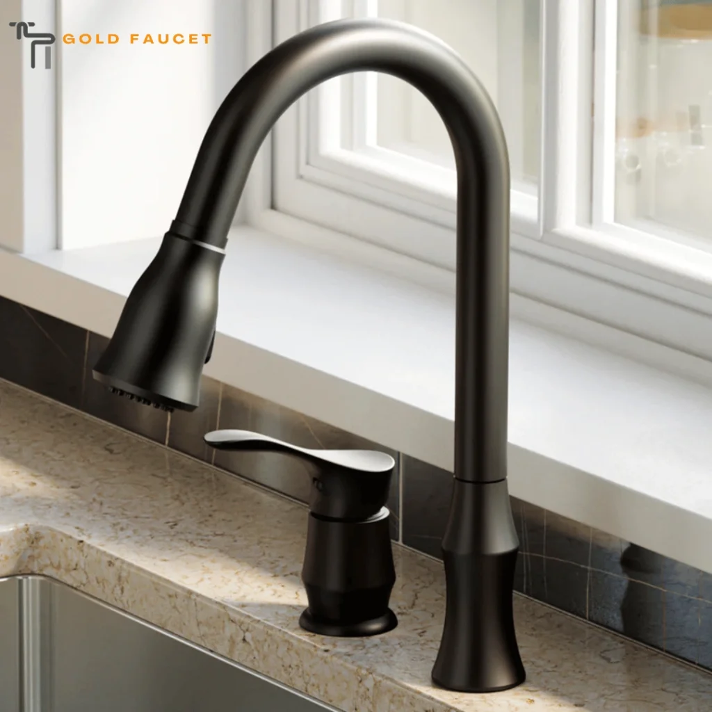 Matte Black Kitchen Faucet