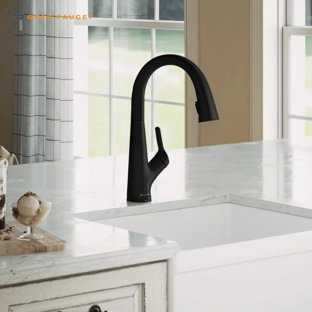 Matte Black Kitchen Faucet