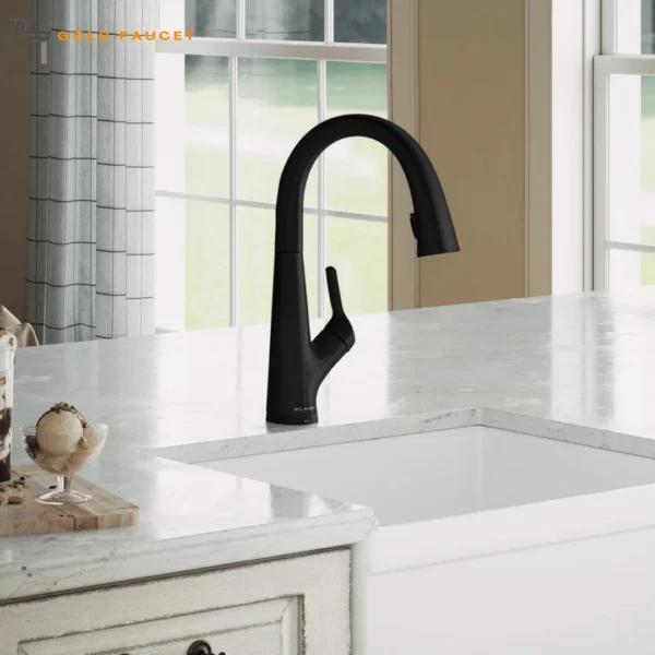 Matte Black Kitchen Faucet
