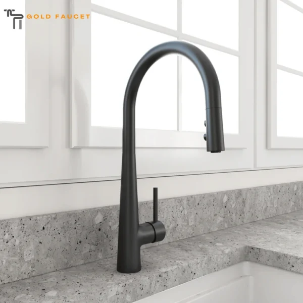 Matte Black Kitchen Faucet
