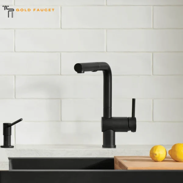 Coal Black Kitchen Faucet Blanco Linus 1.5 GPM Brass