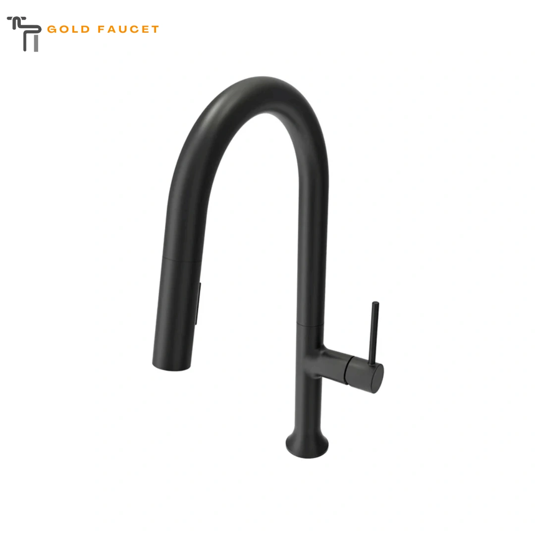 Matte Black Kitchen Faucet Modern BOCCHI Tronto 1.75 GPM Brass