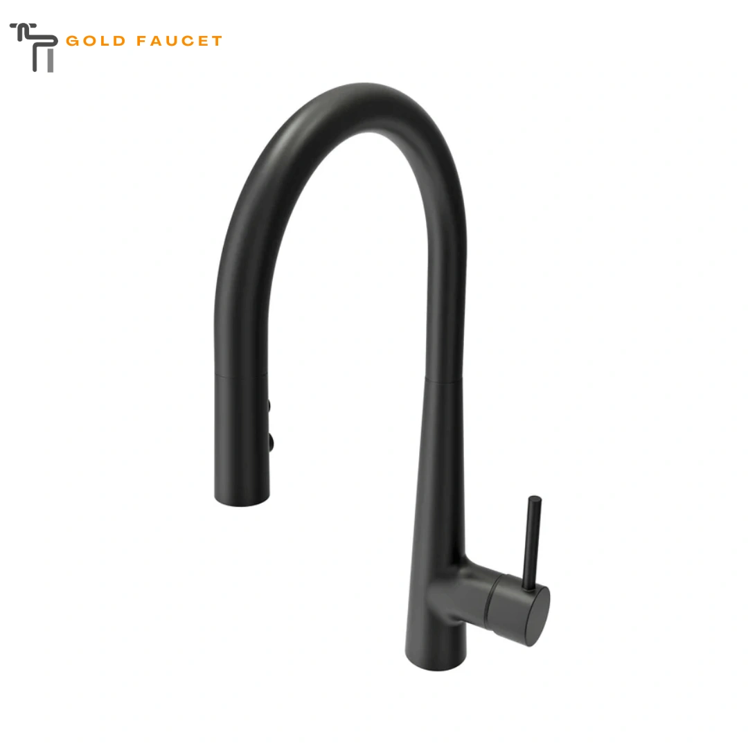 Matte Black Kitchen Faucet BOCCHI Lugano 1.75 GPM Brass