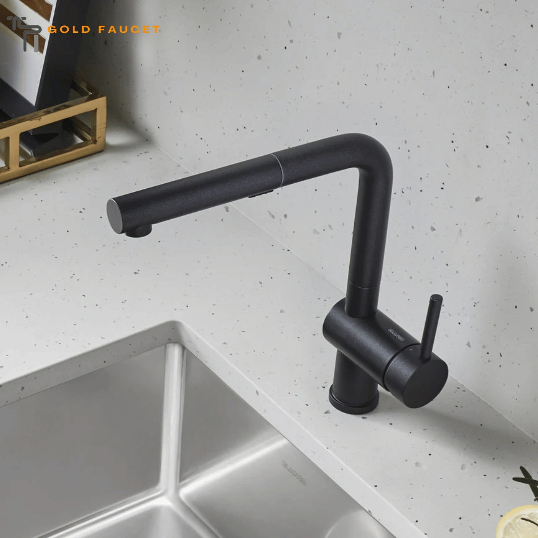Blanco Linus Kitchen Faucet 1.5 GPM Brass Pull Out Anthracite