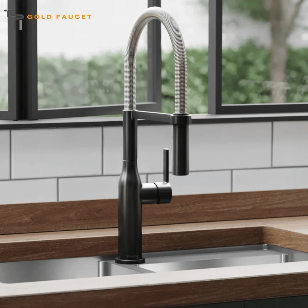 Black Stainless Kitchen Faucet
