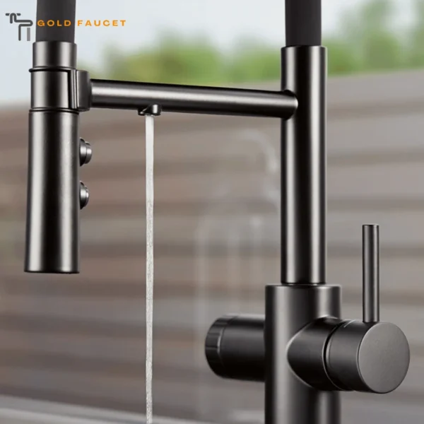 Matte Black Kitchen Faucet Dual Spray1.5 GPM Flexo Filter Ready Semi Pro