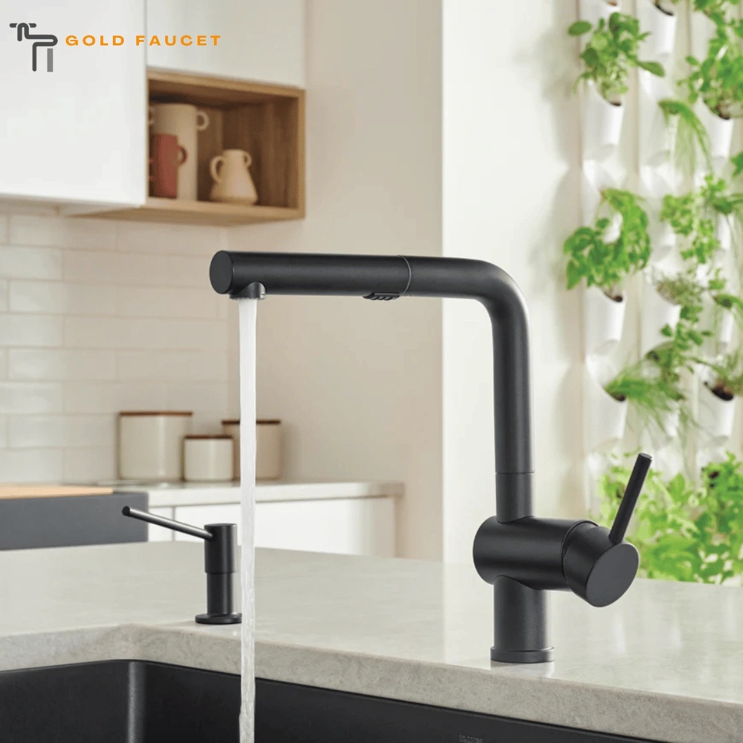 Coal Black Kitchen Faucet Blanco Linus 1.5 GPM Brass