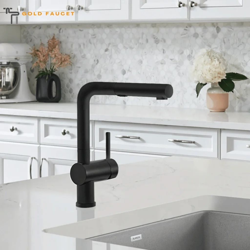 Blanco Linus Kitchen Faucet